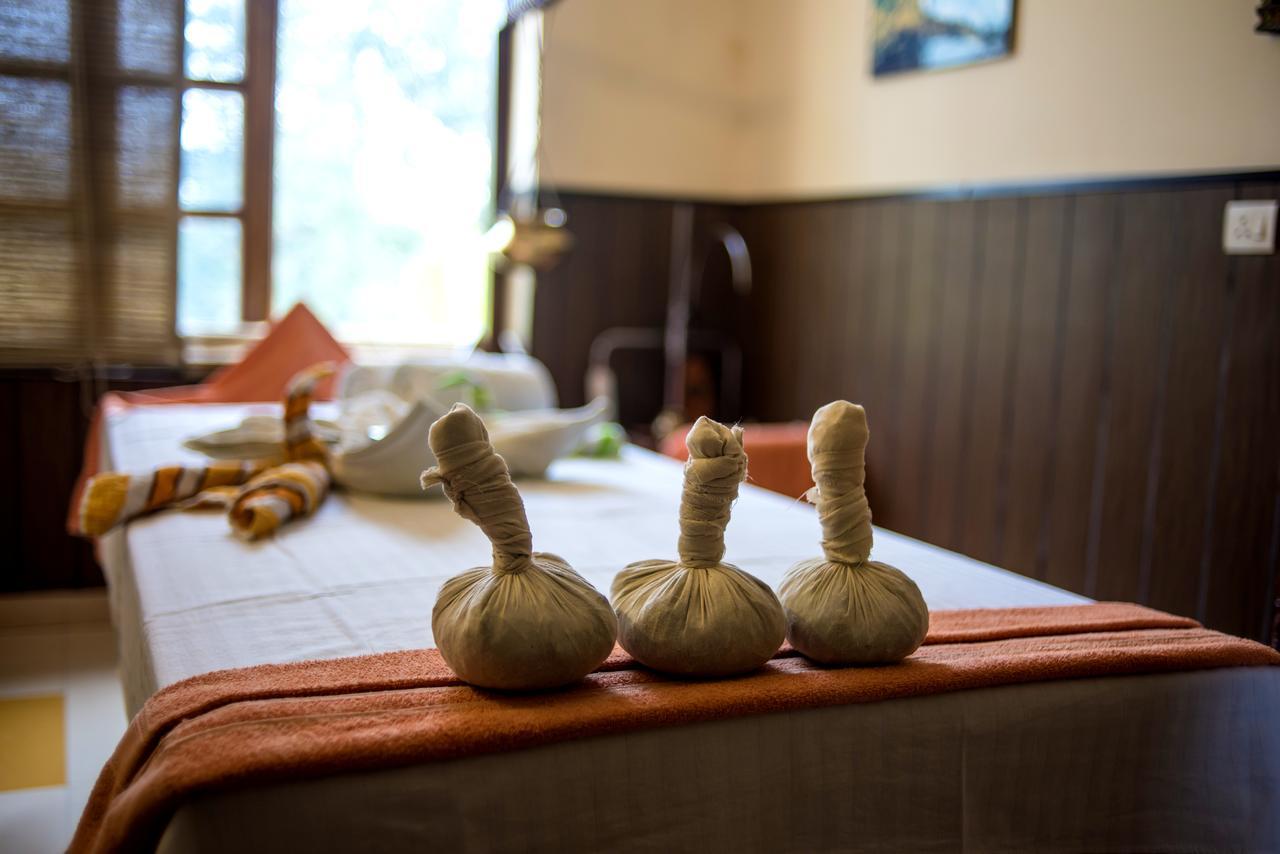Hotel Ganga Vatika Ayurveda Bhavan Rishīkesh Zewnętrze zdjęcie